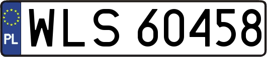 WLS60458
