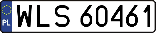 WLS60461