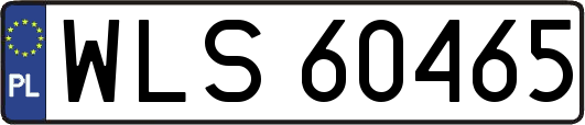 WLS60465