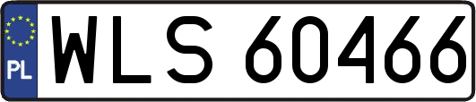 WLS60466