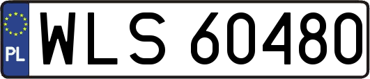 WLS60480