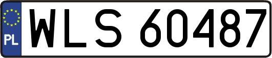 WLS60487
