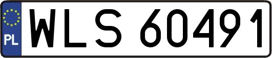 WLS60491