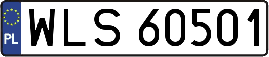 WLS60501