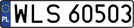 WLS60503