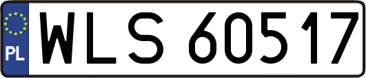 WLS60517