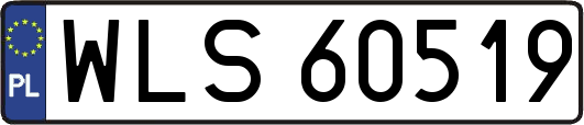WLS60519