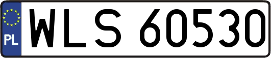 WLS60530