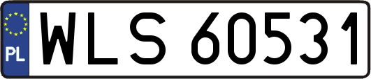 WLS60531