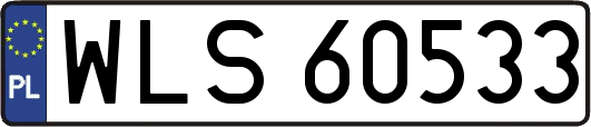 WLS60533