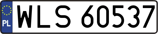 WLS60537