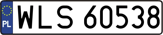 WLS60538