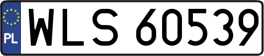 WLS60539
