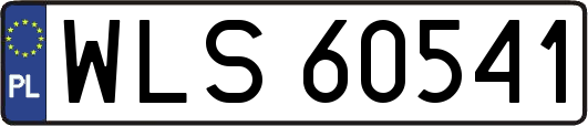 WLS60541