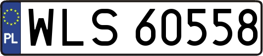 WLS60558