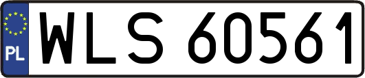 WLS60561