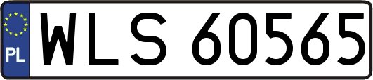 WLS60565
