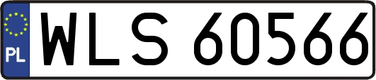 WLS60566