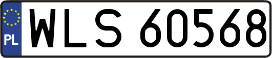 WLS60568