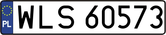 WLS60573
