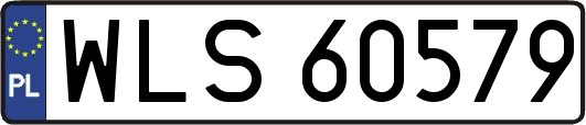 WLS60579