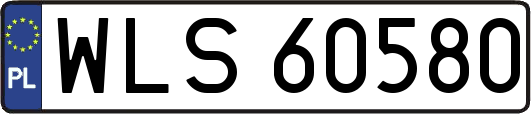 WLS60580