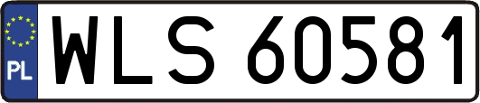 WLS60581