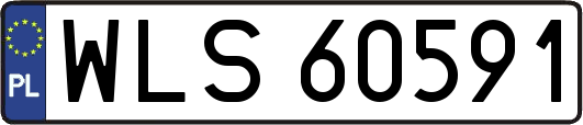 WLS60591