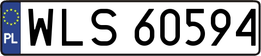 WLS60594