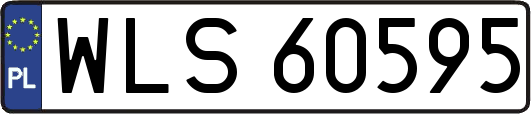 WLS60595