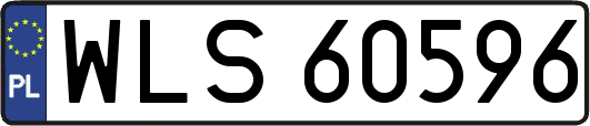 WLS60596