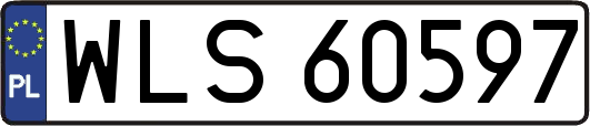 WLS60597