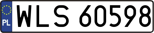 WLS60598