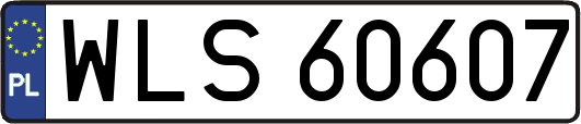 WLS60607