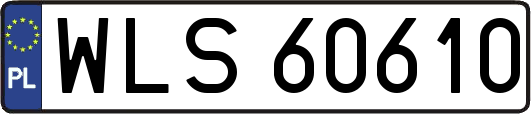 WLS60610