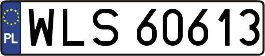 WLS60613
