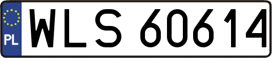 WLS60614