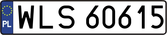 WLS60615