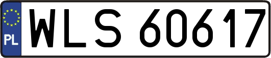 WLS60617