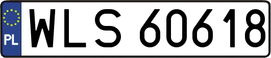 WLS60618