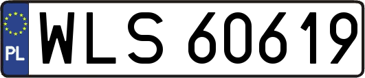 WLS60619