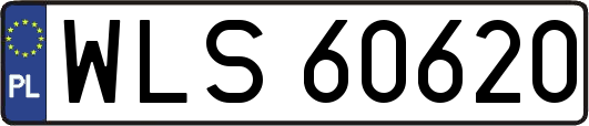 WLS60620