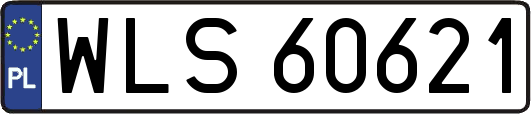 WLS60621