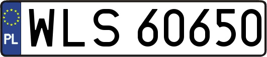 WLS60650