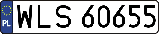 WLS60655