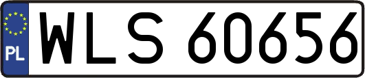 WLS60656