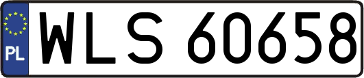 WLS60658