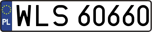 WLS60660