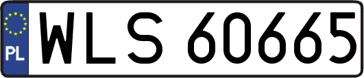 WLS60665