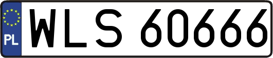 WLS60666